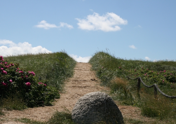 Få hjælp af stresscoach i Esbjerg til stressbehandling